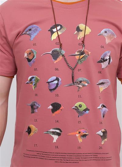marca camiseta passaro