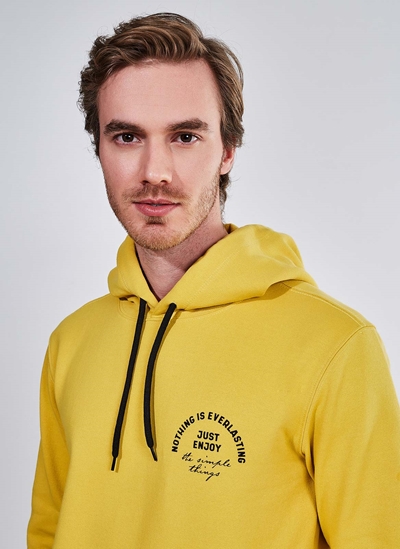 champion basic logo moletom com capuz